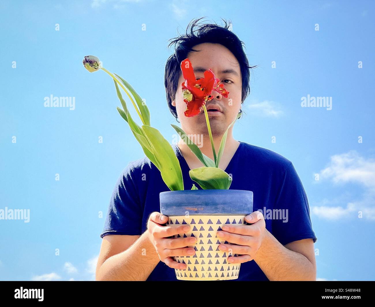 Junger asiatischer Mann, der einen Blumentopf mit einer roten Papageientulpe und Blütenknospe vor blauem Himmel hält, an einem sonnigen Frühlingstag mit Kopierraum. - Smartphone-aufgenommenes Stockfoto