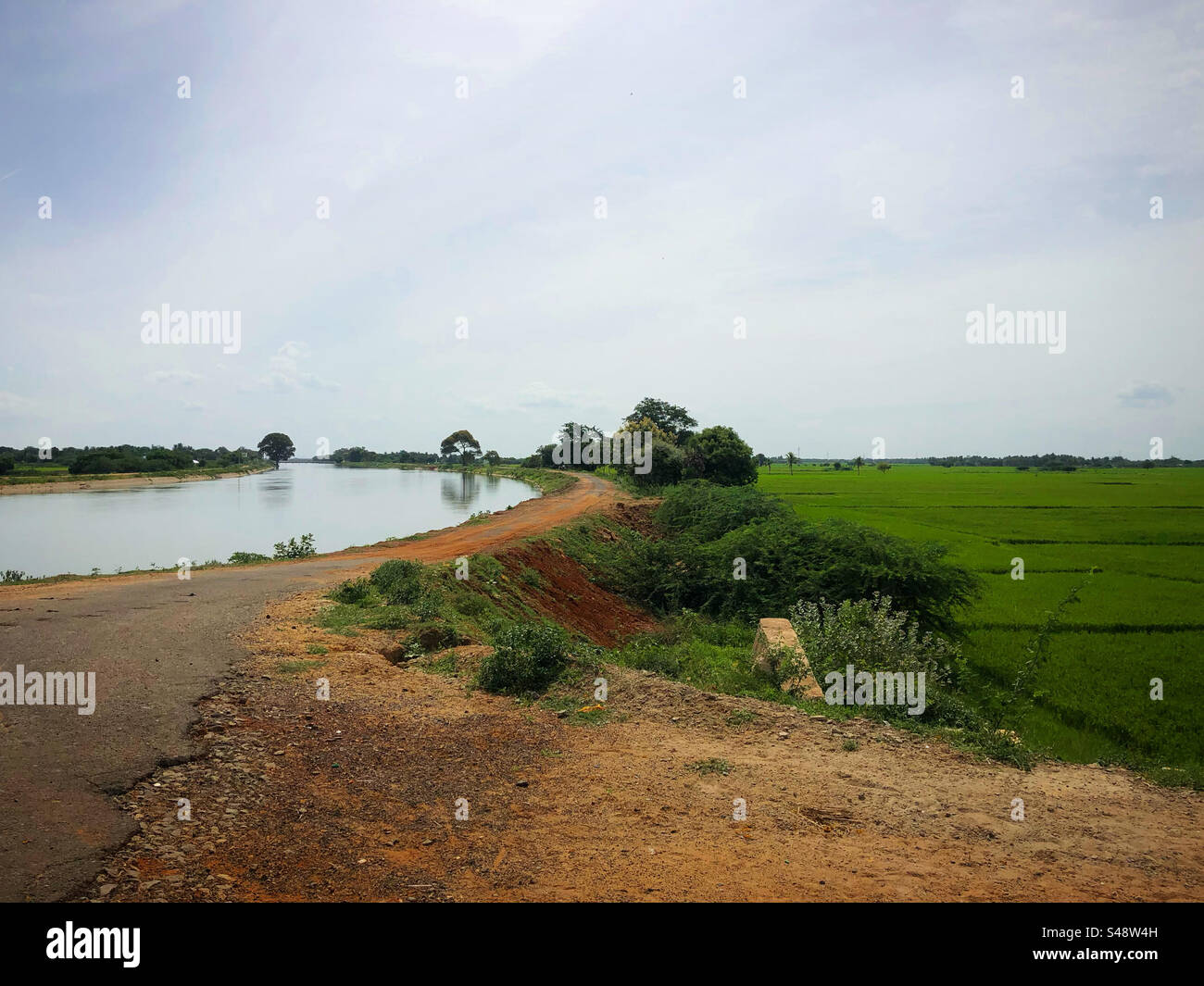 Agrar- und Reisfeld in Tamilnadu. Stockfoto