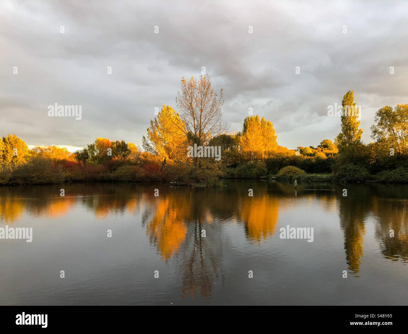 Herbstlicht Mouldon Country Park Stockfoto