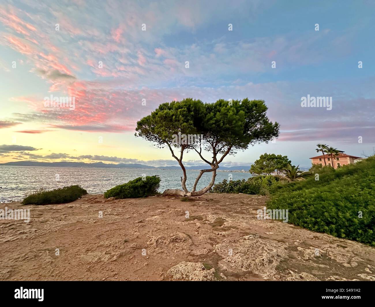Sonnenuntergang in tropischer Landschaft - Smartphone-aufgenommenes Stockfoto
