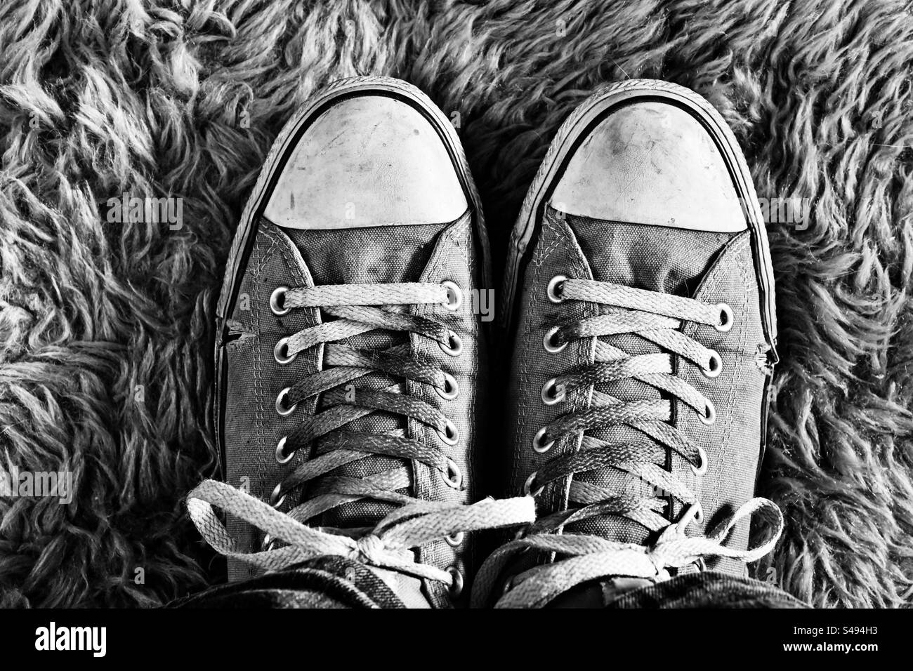 Ein Paar Converse All Star-Schuhe für Herren auf einem Lammfellteppich Stockfoto