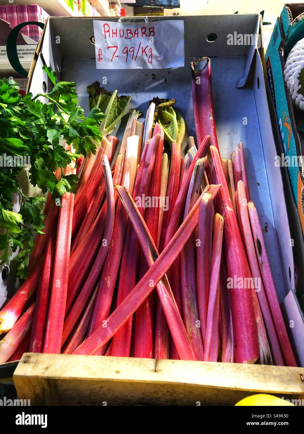 Rhabarber wurde in Grocer's Shop verkauft - Smartphone-aufgenommenes Stockfoto