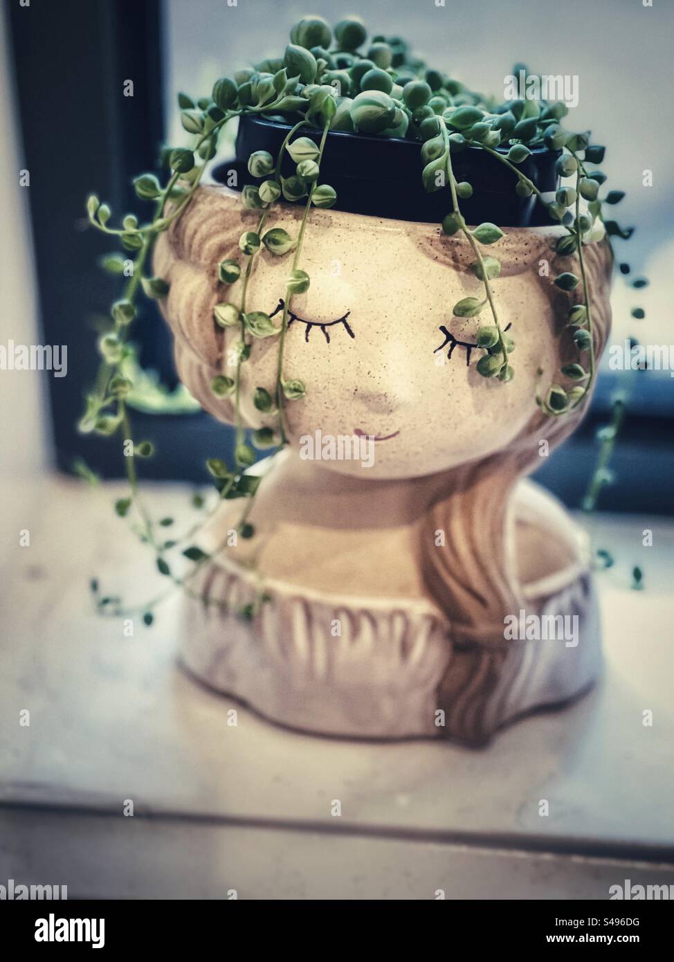 Perlenschnüre/Curio rowleyanus saftige Topfpflanze in einem Blumentopf in Form eines Mädchenkopfes auf der Fensterbank. Vintage-Ästhetik. Selektiver Fokus. Pflanzliches grünes Haar. Stockfoto