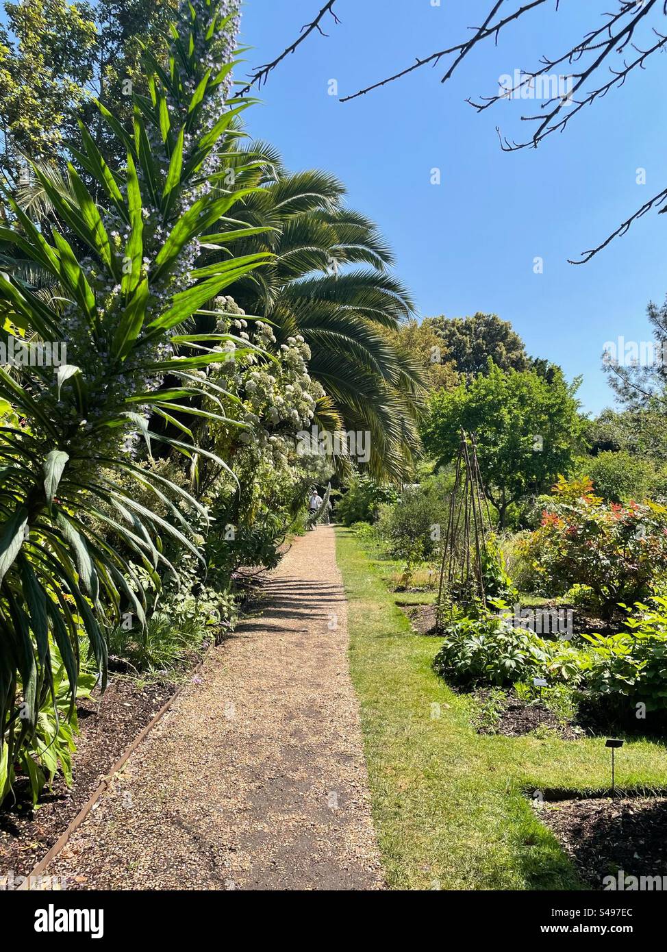 Schöner Spaziergang im Chelsea Physic Garden, London, Großbritannien Stockfoto