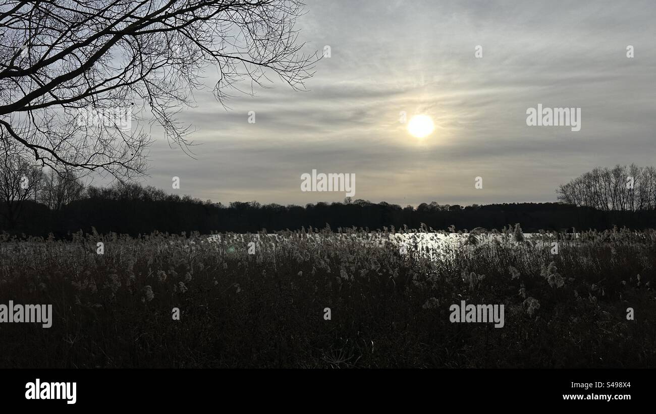 Winter am Whitlingham Lake auf den Norfolk Broads in England. Stockfoto