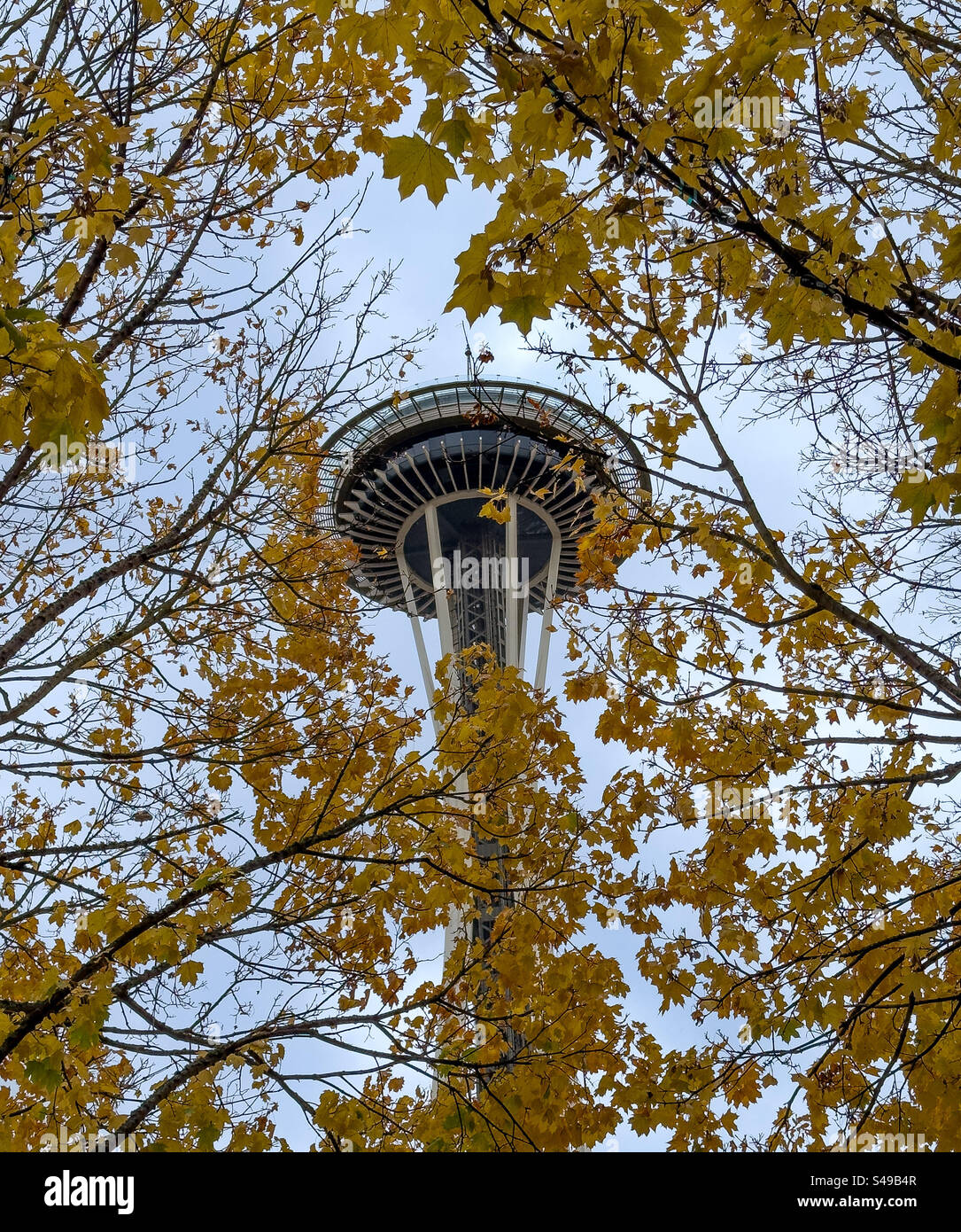 Die Space Needle in Seattle im Herbst - Smartphone-aufgenommenes Stockfoto