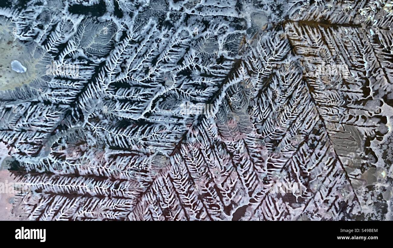 Gefrorene Seife bildet Muster in Eis Stockfoto