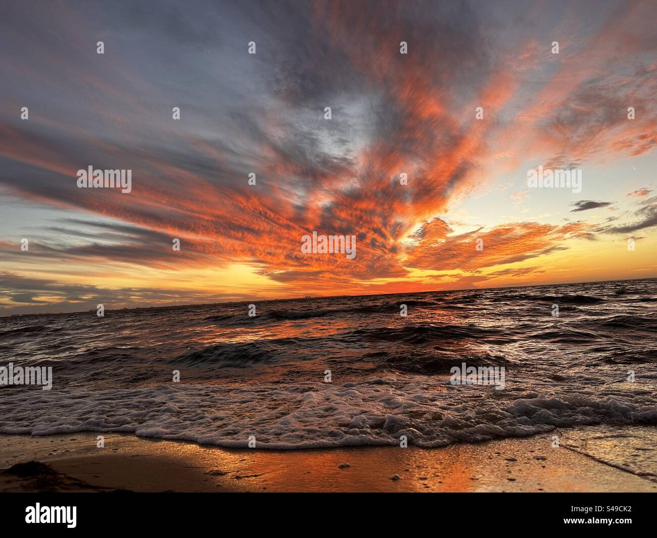 Nichts ist wie der künstlerische Ausdruck der Natur - Smartphone-aufgenommenes Stockfoto