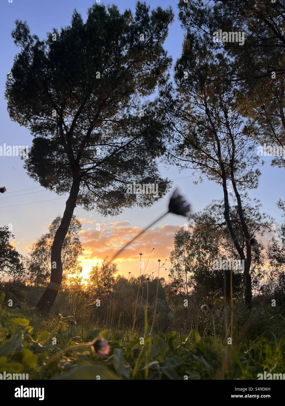La Pace del tramonto Stockfoto