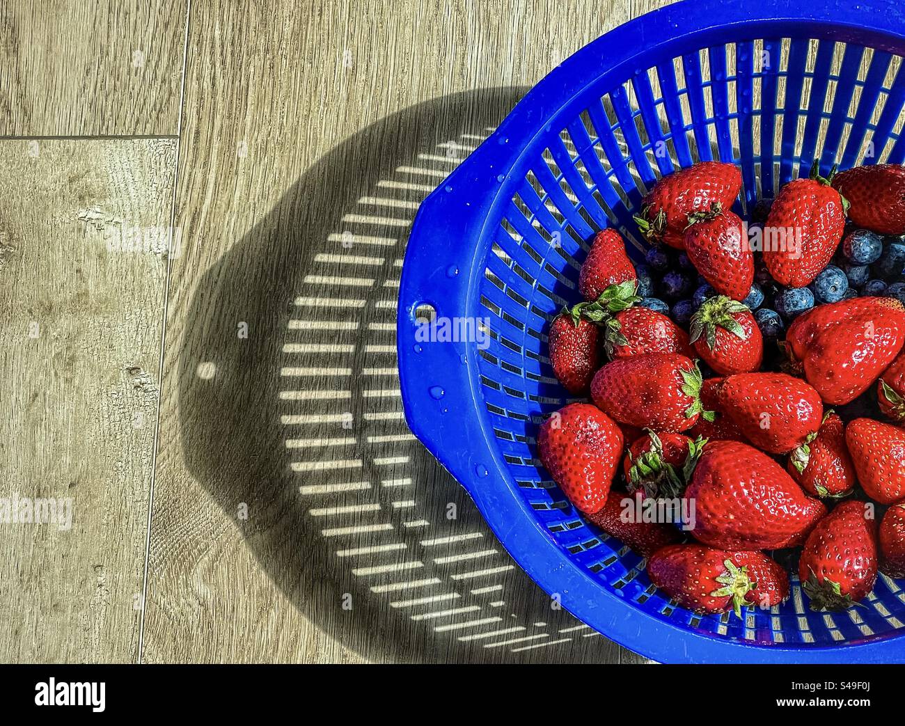 Hochwinkelansicht von Erdbeeren und Heidelbeeren in blauem Sieb auf Holztisch im Sonnenlicht mit Schatten. Nahaufnahme. Saftig, Antioxidans. Gesunde Ernährung. - Smartphone-aufgenommenes Stockfoto