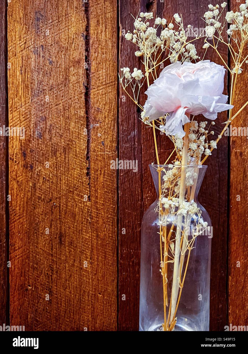 Einzelne blassrosa Rose und getrocknete weiße Blumen in einer Glasvase auf gebeiztem Holzhintergrund. Cottagecore-Ästhetik. Vintage-Style. Stillleben. Stockfoto
