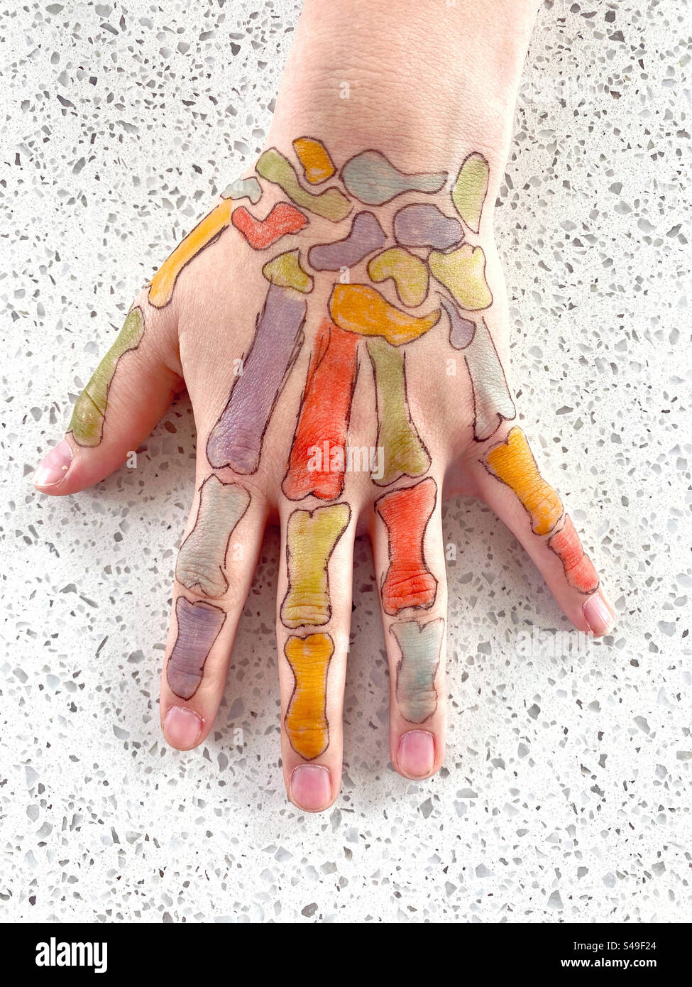 Eine Hand mit einem bunten Skelett auf dem Rücken. Stockfoto
