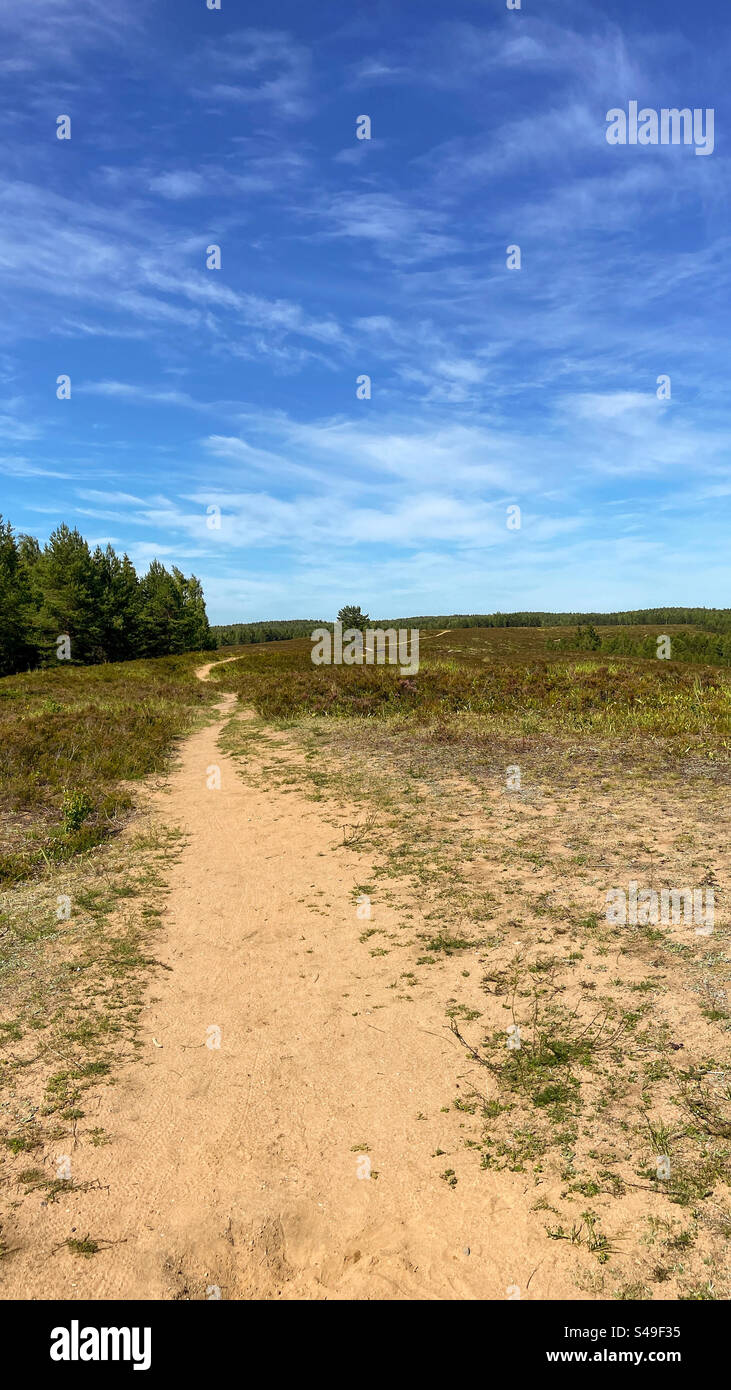 Wandern in Nordestland auf dem Jussi-Naturpfad. Einzigartige Landschaft hier, da es hier ein Trainingsplatz der sowjetischen Armee war und die Landschaft fast wie an manchen Orten wüstlich ist. Stockfoto
