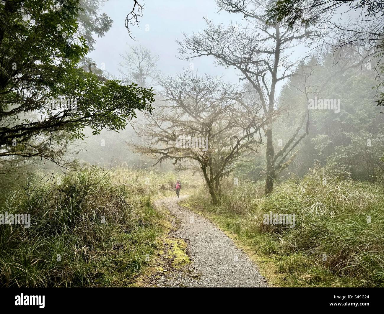 Misty Walk auf dem Cuifeng Lake Circular Trail ruhiger Wanderabschnitt. Der weltweit erste ruhige Trail im Yilan County, Taiwan. Stockfoto