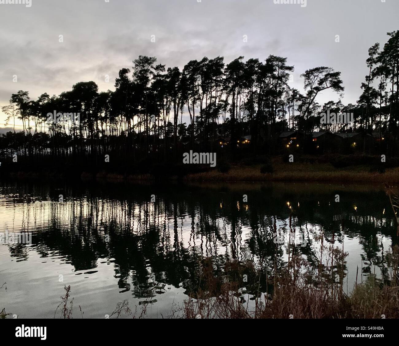 Hohe Bäume in der Abenddämmerung, die sich im See spiegeln Stockfoto