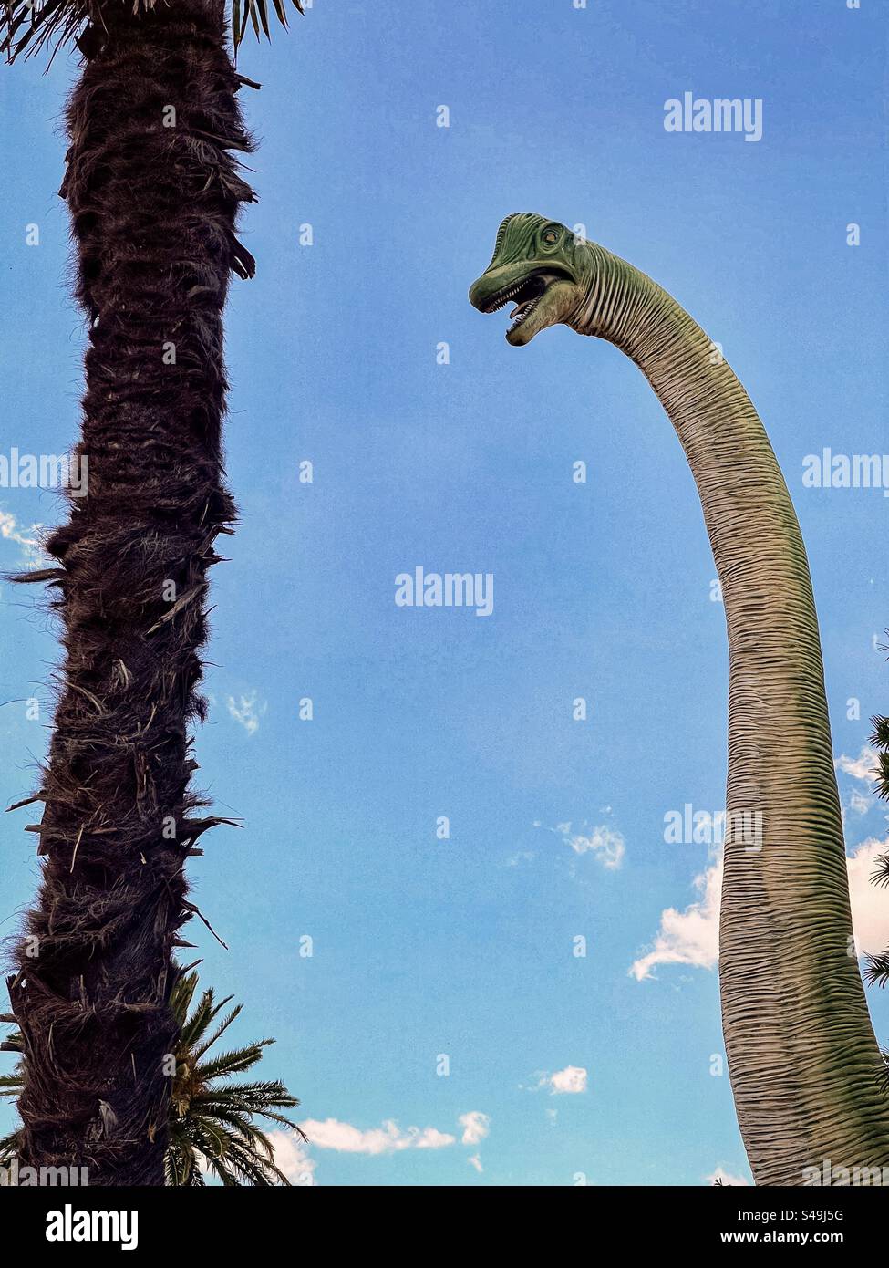 Niedrigwinkelansicht der riesigen, langhalsigen Dinosaurier-Skulptur neben einer hohen Palme am blauen Himmel in Braeside, Melbourne, Australien. Stockfoto