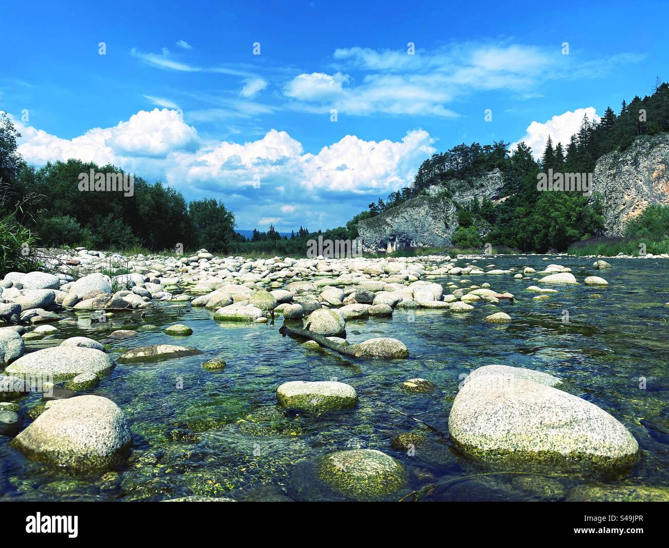 Fluss in Polen - Smartphone-aufgenommenes Stockfoto
