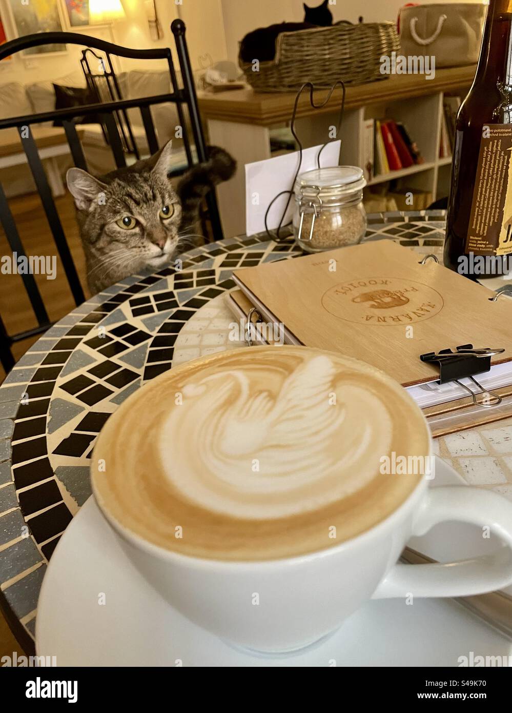 Katzenkaffee Stockfoto