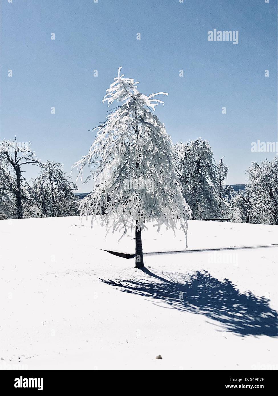 Winter-Stille Stockfoto