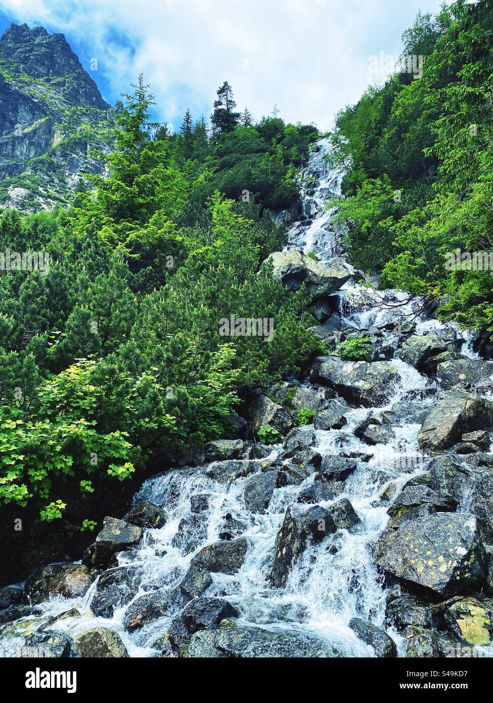 Tatra-Nationalpark, Polen Stockfoto