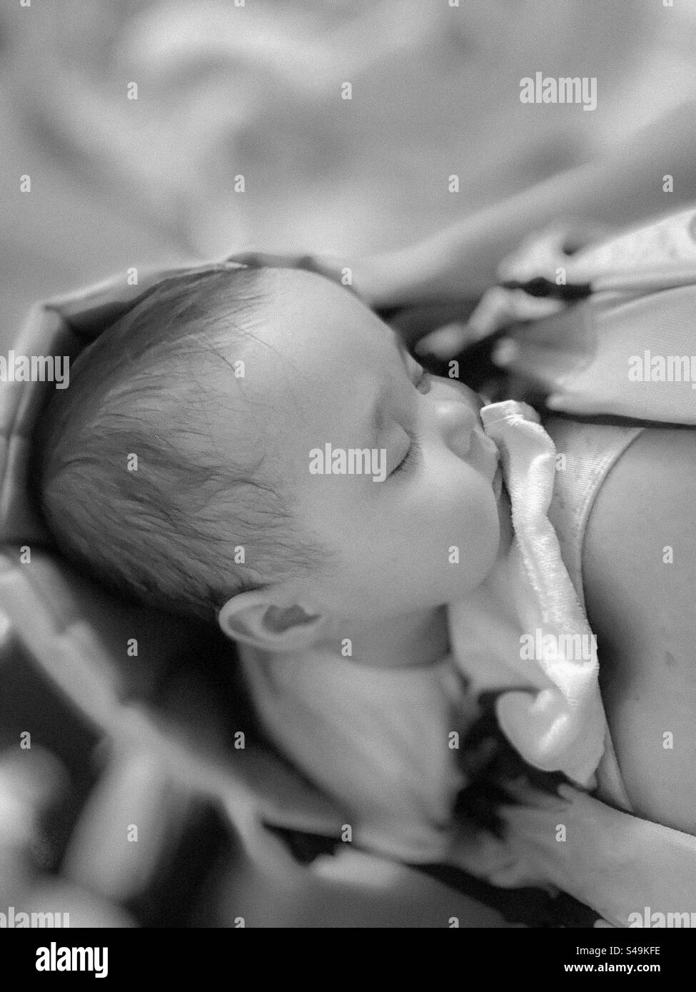 Das Baby schläft in einer Babytragetasche nahe der Brust der Mutter Stockfoto