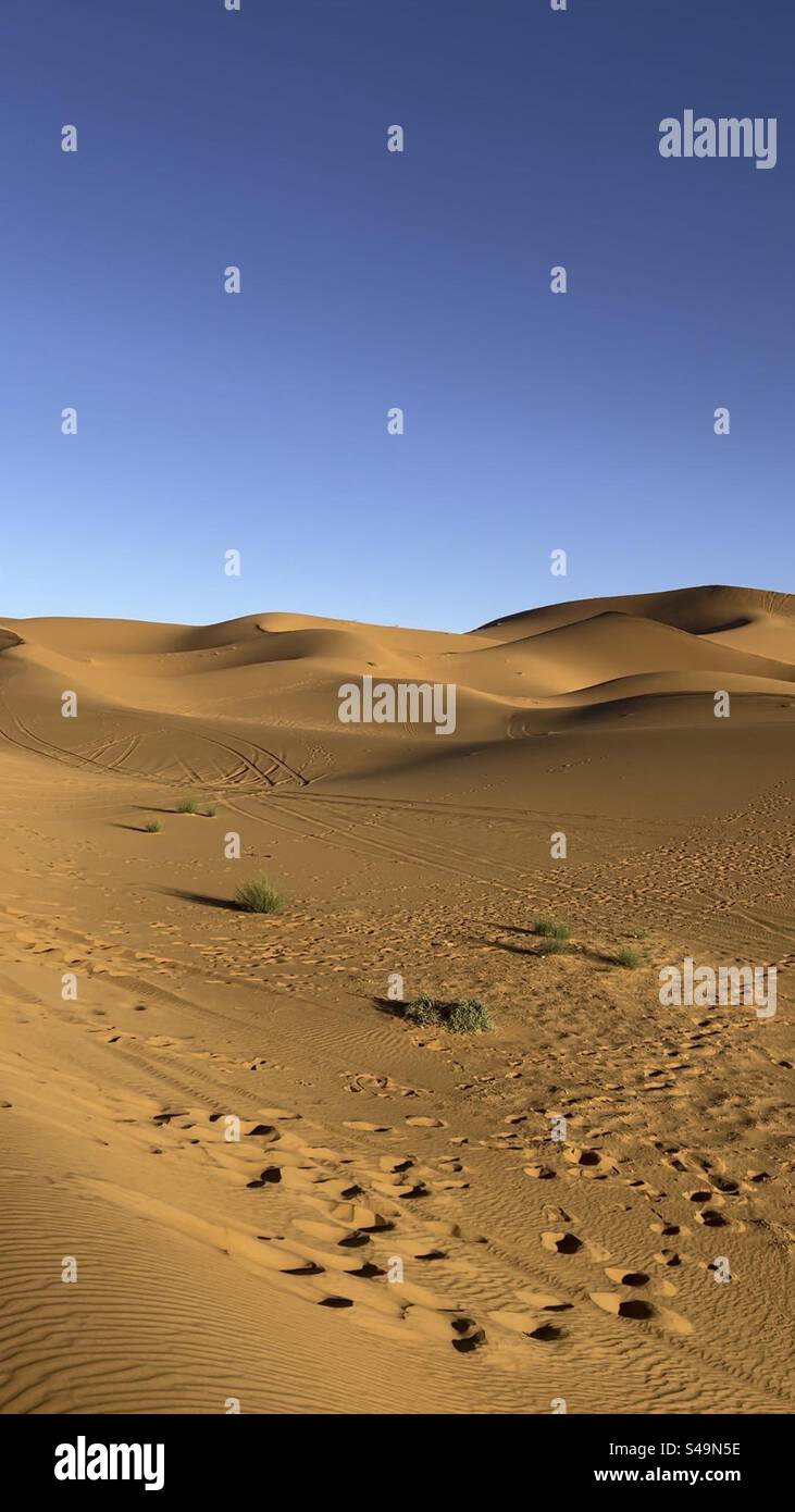 Dünen in der Sahara Erg Chebbi Marokko Stockfoto