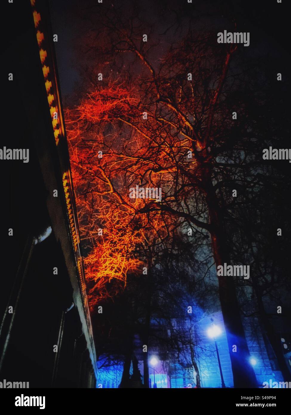 Dorische Säulen und orange- und rötliche Blätter von den London Plane Trees entlang der Mall in London bei Nacht mit leuchtenden Lichtern Stockfoto