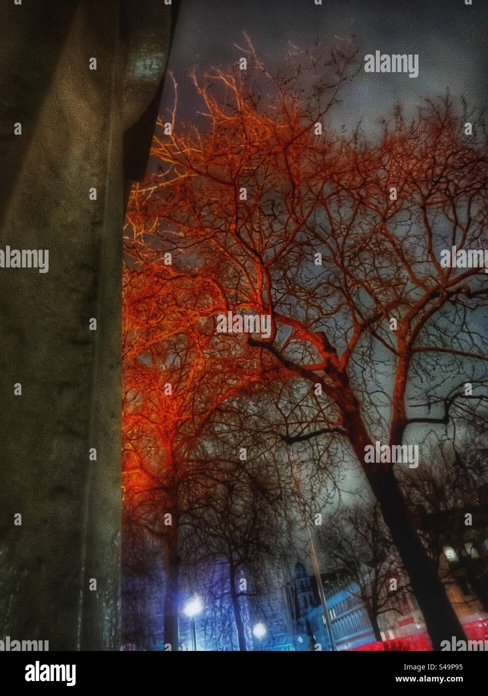 Baum und Lichter verleihen einen architektonischen Look, der mit der klassischen Architektur der dorischen Säulen in der Mall in London bei Nacht gesehen wird - Silhouetten am Himmel - Smartphone-aufgenommenes Stockfoto