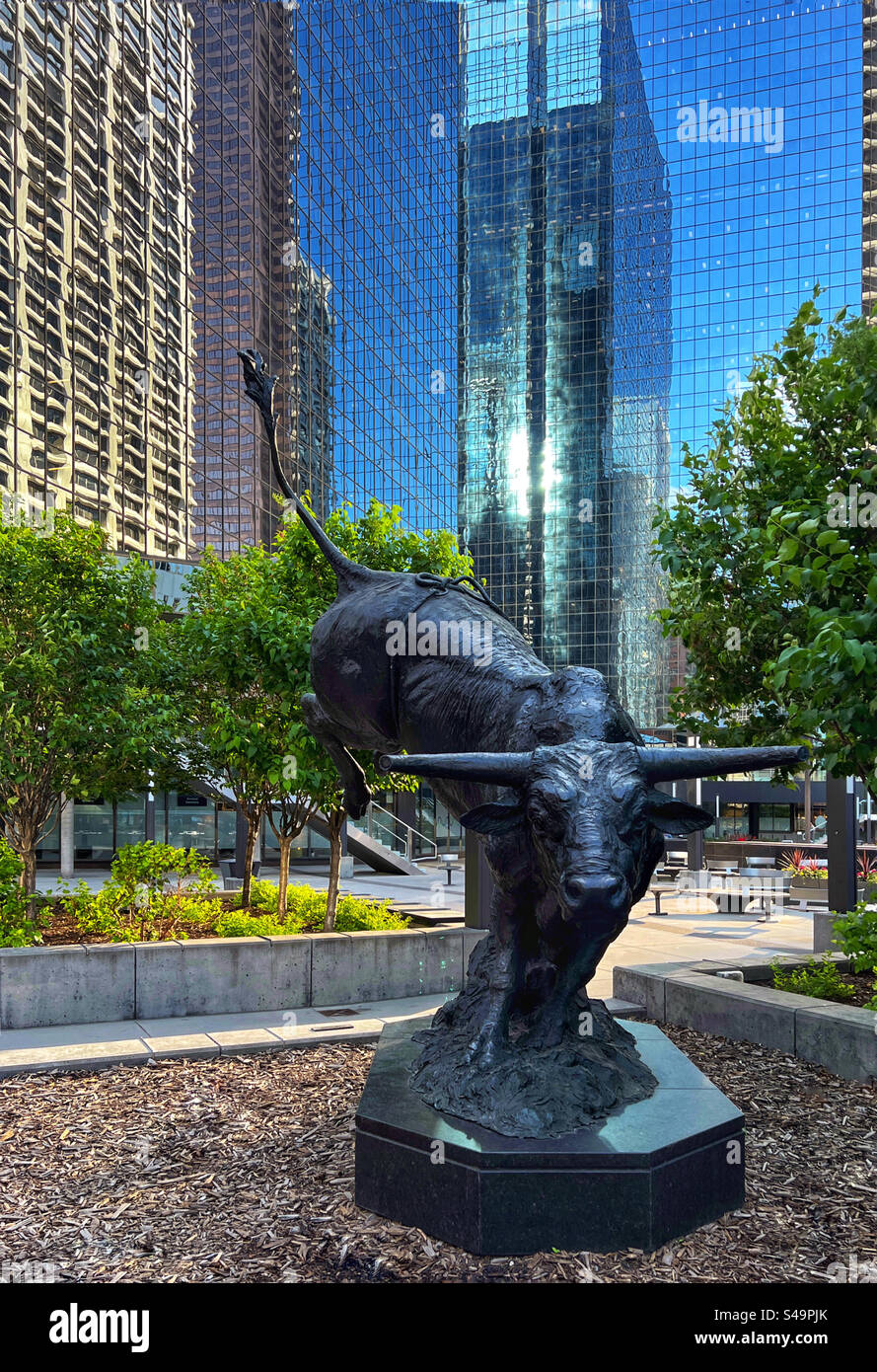 Bronzestatue von Outlaw, dem Rodeobullen, gegenüber von Calgary's Stock Exchange Tower. Downtown Calgary, Alberta, Kanada. Stockfoto