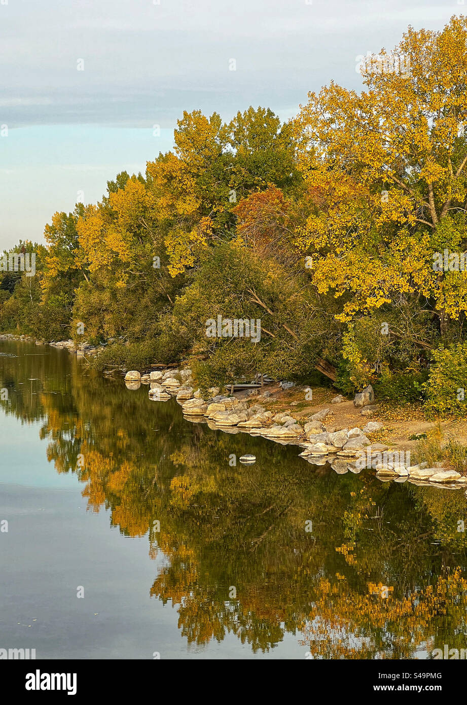 Herbstfarben und Herbstlaub im Prince’s Island Park, Calgary, Alberta, Kanada. Stockfoto