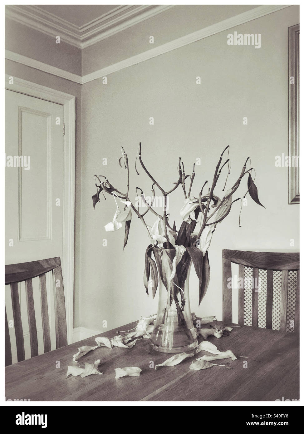 Ein atmosphärisches Stillleben-Bild, das eine Vase von sterbender Lillie darstellt Die Blumen sind ausgetrocknet, gestorben und auf den Holztisch gefallen. Foto ©️ COLIN HOSKINS. - Smartphone-aufgenommenes Stockfoto
