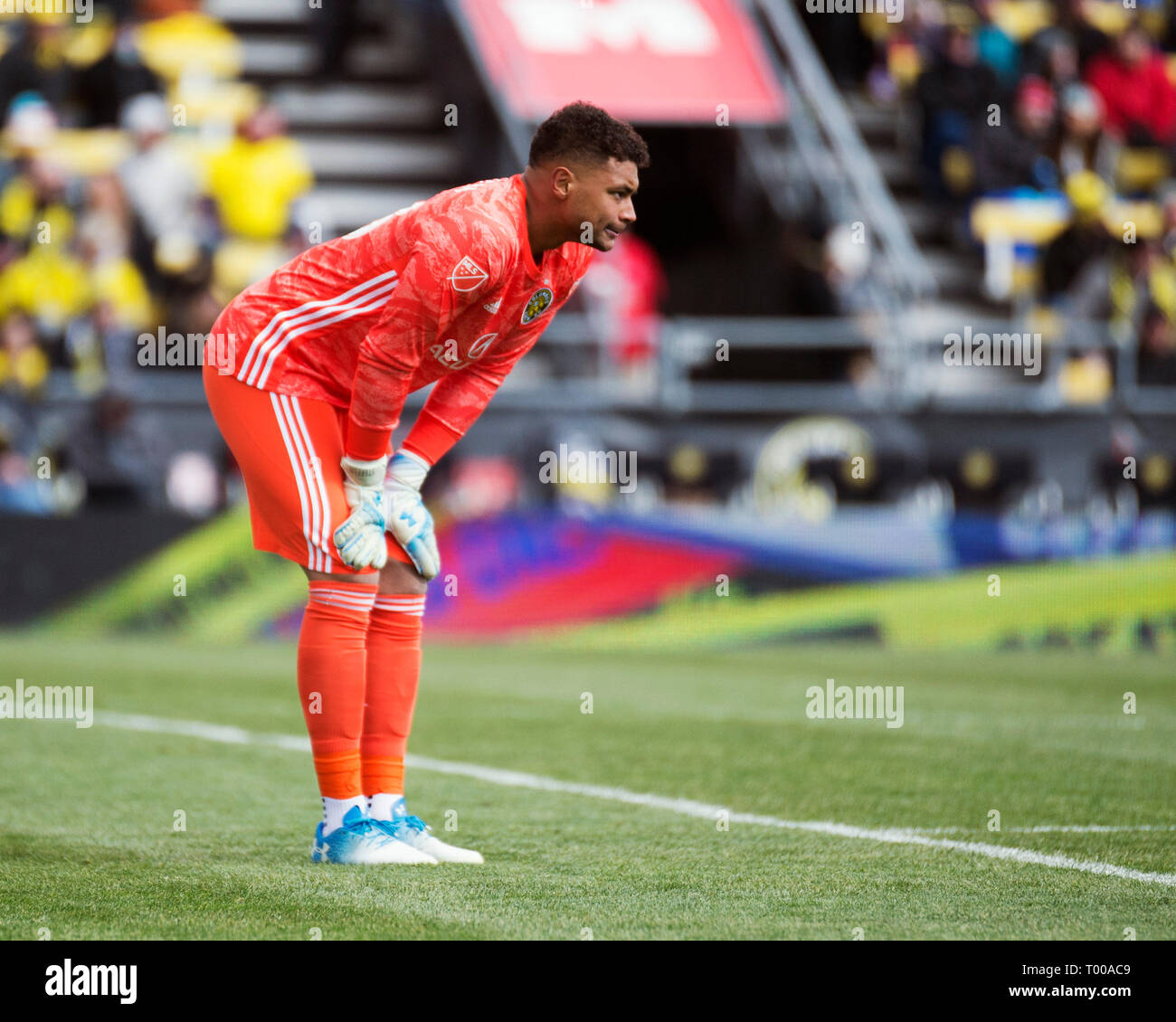 März 16, 2019: Columbus Crew SC Torwart Zack Steffen (23) im Spiel gegen den FC Dallas in ihr Spiel in Columbus, Ohio, USA. Brent Clark/Alamy leben Nachrichten Stockfoto