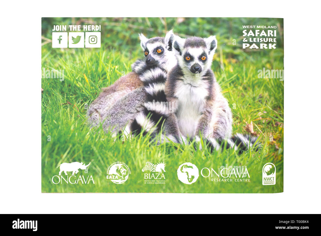 BEWDLEY, Großbritannien - 21. FEBRUAR 2019: Ratgeber für West Midland Safari- und Freizeitpark, Bad Salzungen, Hereford und Worcester, England Stockfoto