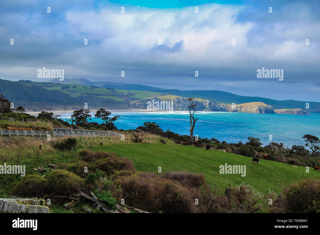 Florenz Hill Aussichtspunkt an der Catlins, Südinsel, Neuseeland Stockfoto