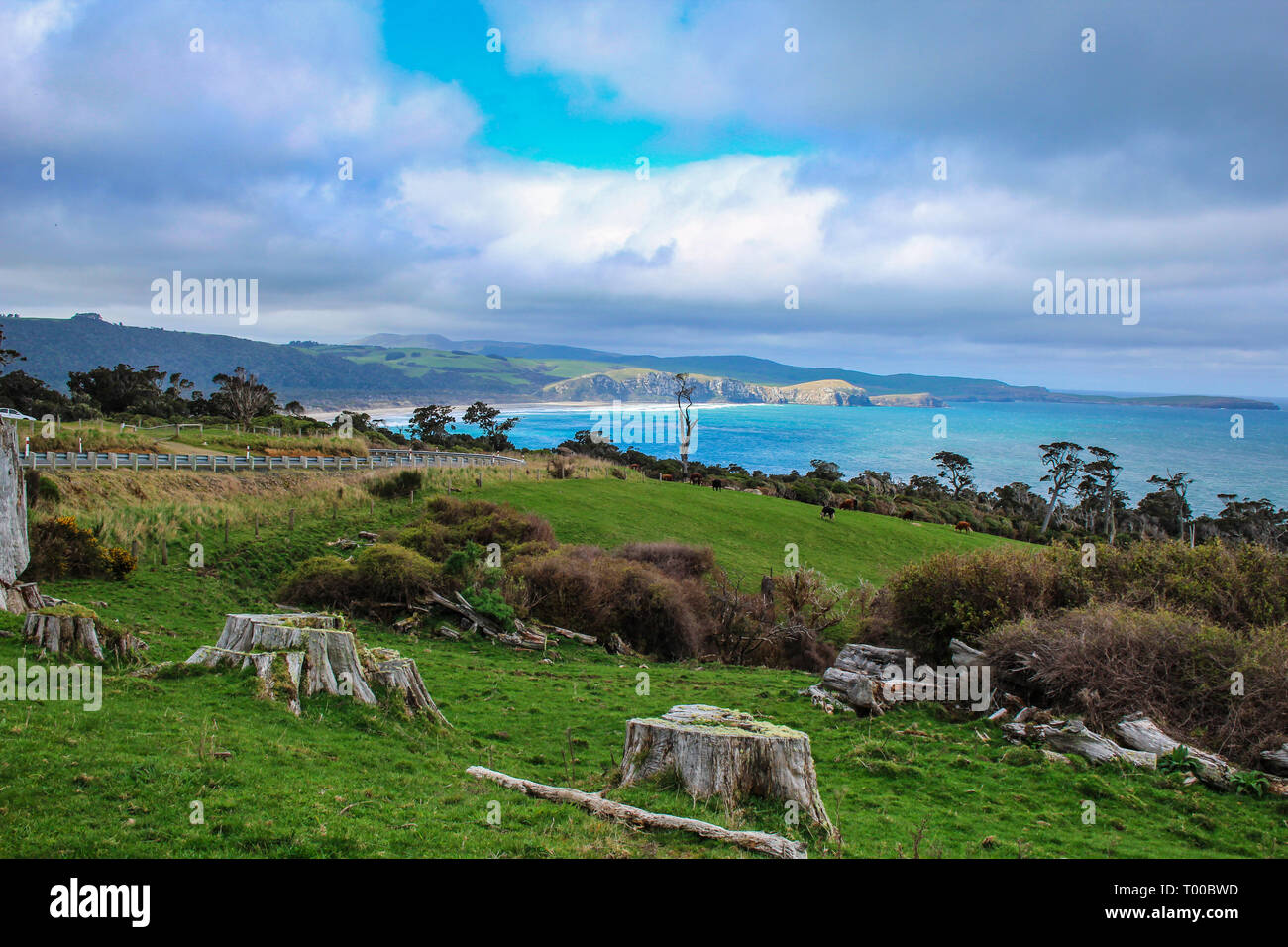 Florenz Hill Aussichtspunkt an der Catlins, Südinsel, Neuseeland Stockfoto