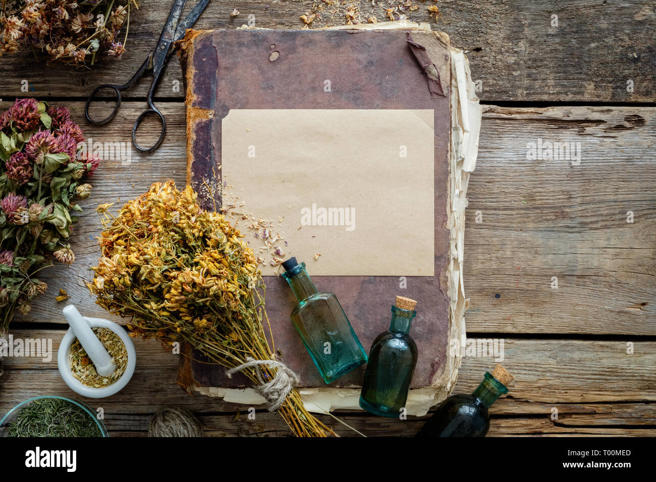 Wissen Uber Krauter Stockfotos Und Bilder Kaufen Alamy