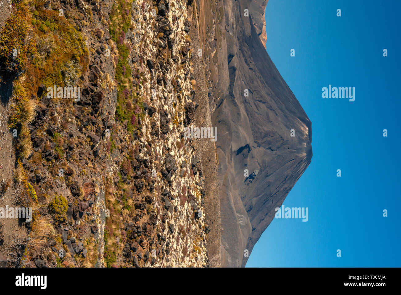 Mt Ngaruhoe, im Norden der Insel von Neuseeland, gesehen in der Nähe von Mt  Ruapehu. Dies wurde als Mt Doom im Film der Herr der Ringe verwendet  Stockfotografie - Alamy