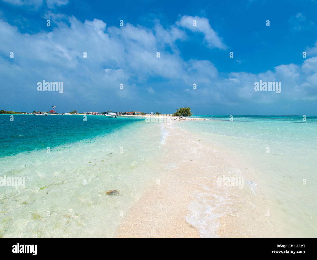 Tropische Strand der Insel Cayo Pirata, Los Roques, Venezuela. Stockfoto