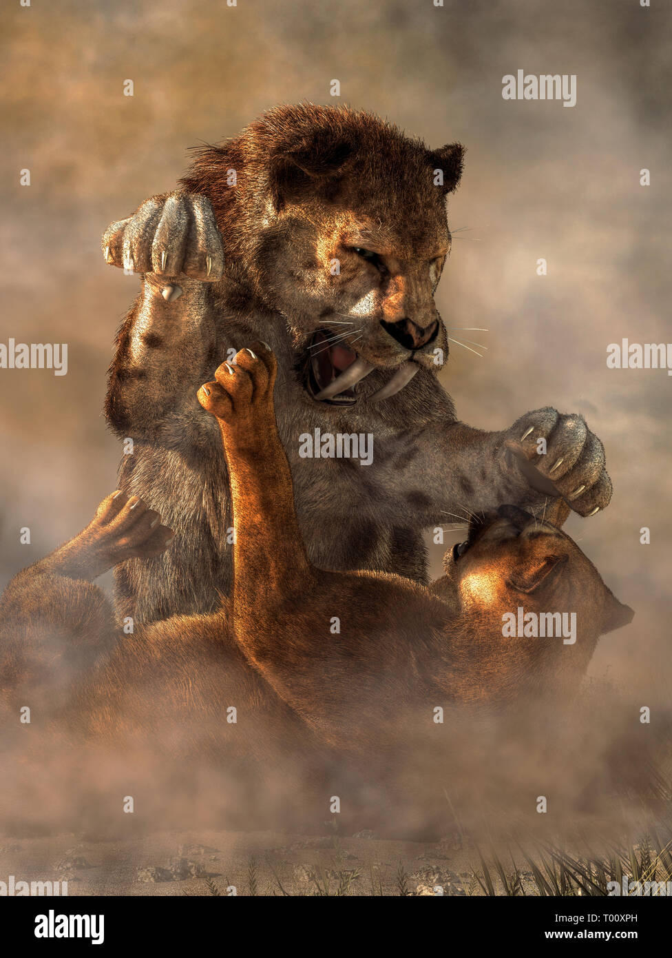 Ein smilodon und Pumas sind im harten Kampf gesperrt. Die säbelzahntiger  Katze erzieht, über die unglückliche Puma bereit, mit seinen Krallen und  Zähne zu schlagen Stockfotografie - Alamy