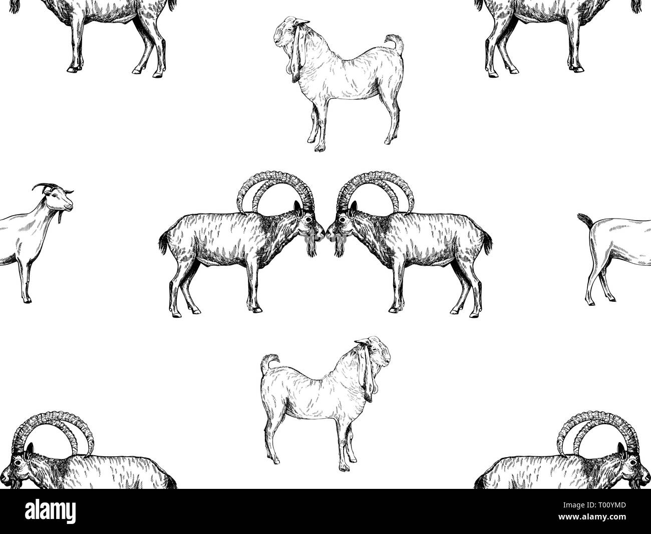 Nahtlose Muster von Hand gezeichnete Skizze stil Ziegen auf weißem Hintergrund. Vector Illustration. Stock Vektor