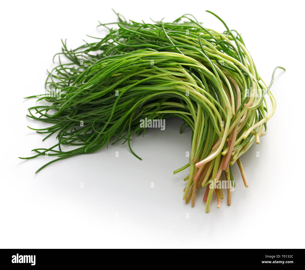 Frische agretti, italienische Gemüse auf weißem Hintergrund Stockfoto