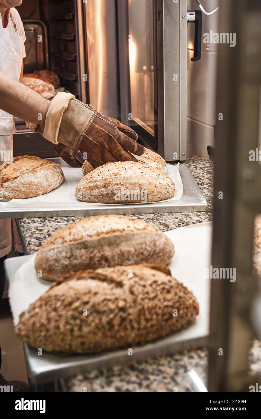 Frisch gebackenes Brot. Vertikale Foto von Bcker um die Hnde bei der  Arbeit Handschuhe, warmes Brot aus dem Ofen in der Kche. Bckerei Konzept  Stockfotografie - Alamy
