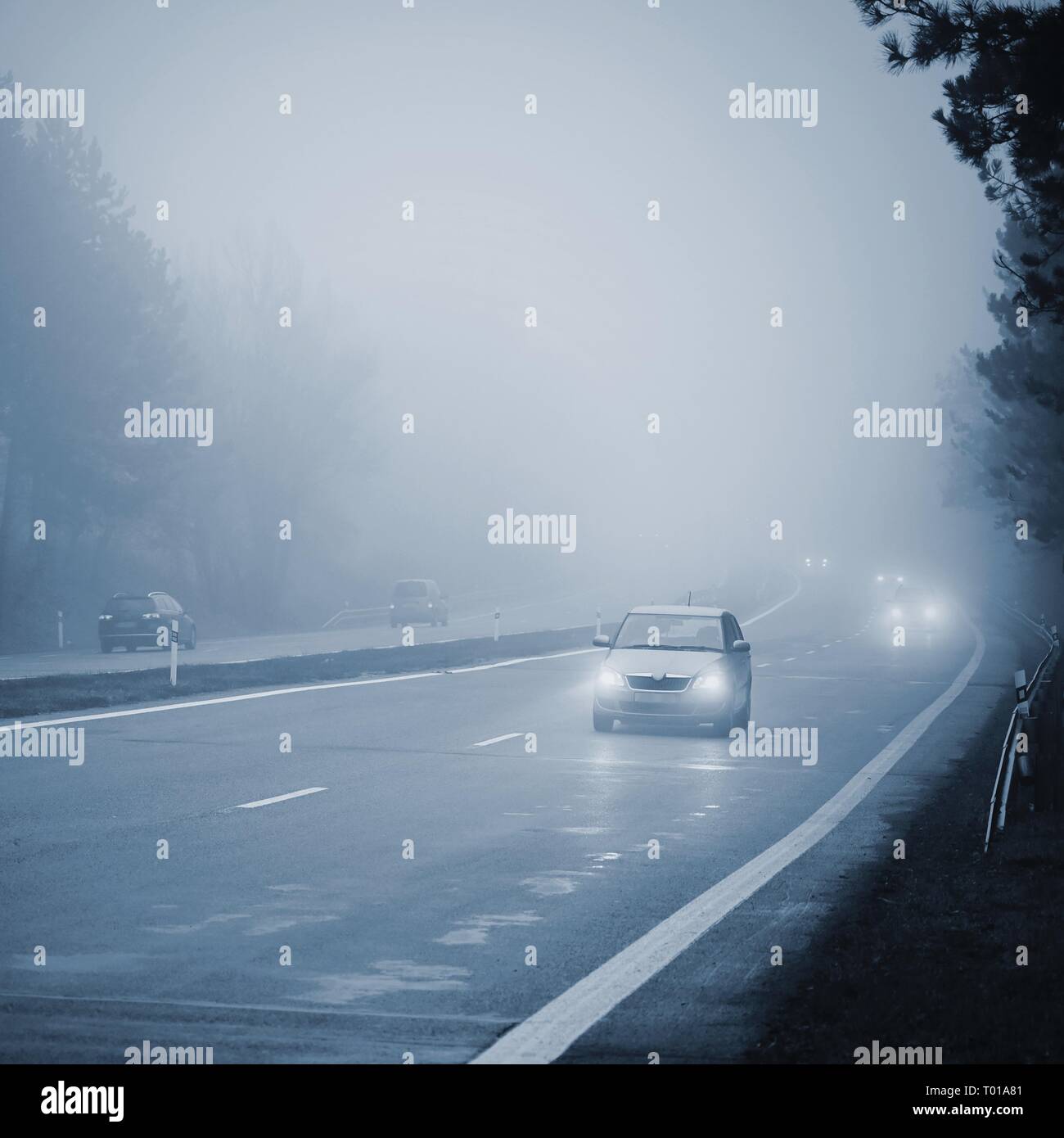 Autos im Nebel. Schlechtes Wetter und gefährlichen Autoverkehr auf der Straße. Light Vehicles in nebligen Tag. Stockfoto