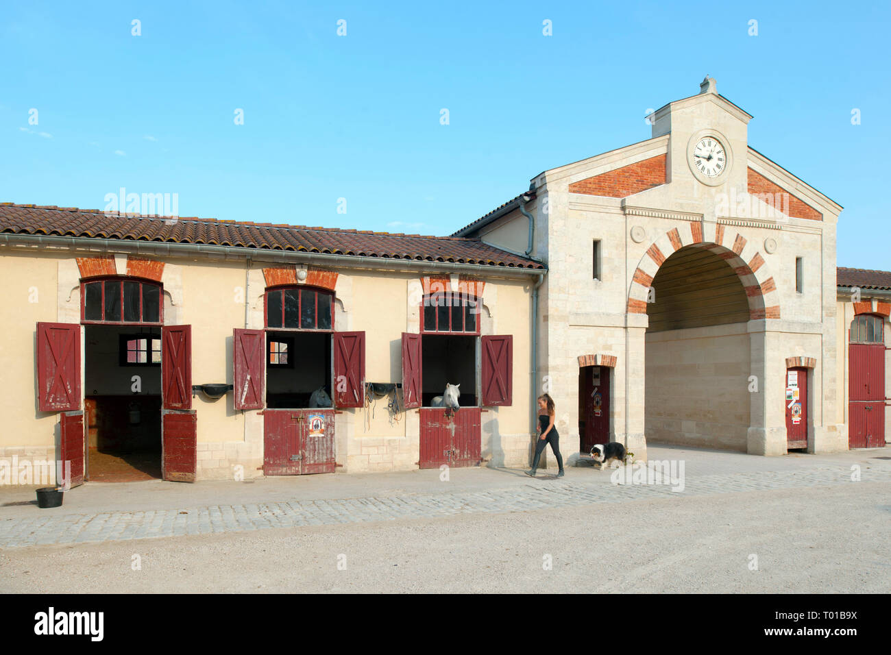 Frankreich, Languedoc-Roussillon, Aude, Montier-en-Der. Stallungen im Gestüt in der ehemaligen Abtei Montier-en-Der. Seit 1806 werden Veranstaltungen und Stockfoto