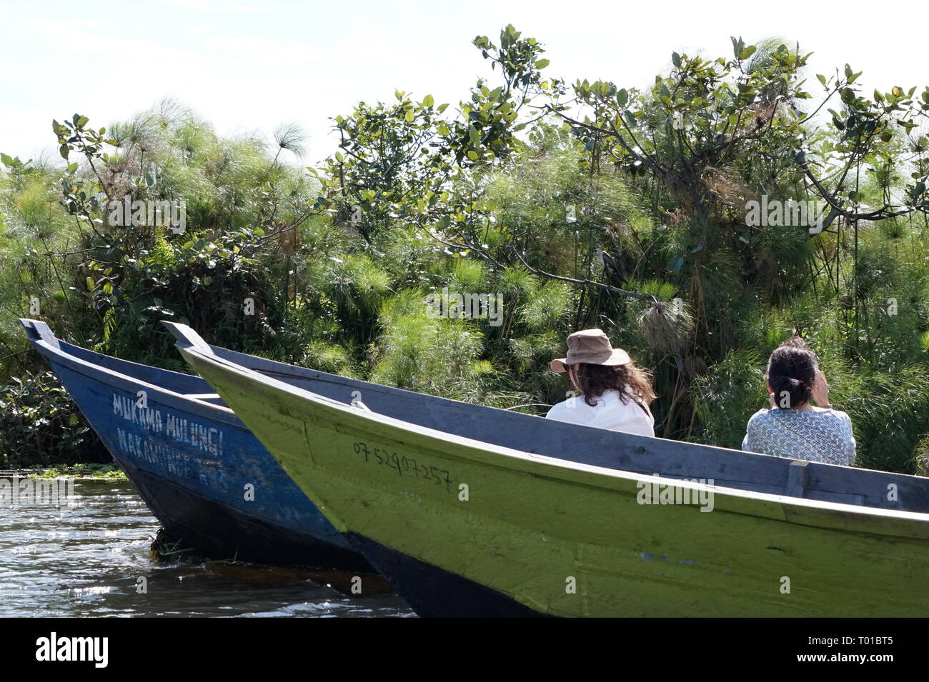 Touristen auf einem Boot Tour bucht Mabamba Wetland Systems, Uganda Stockfoto