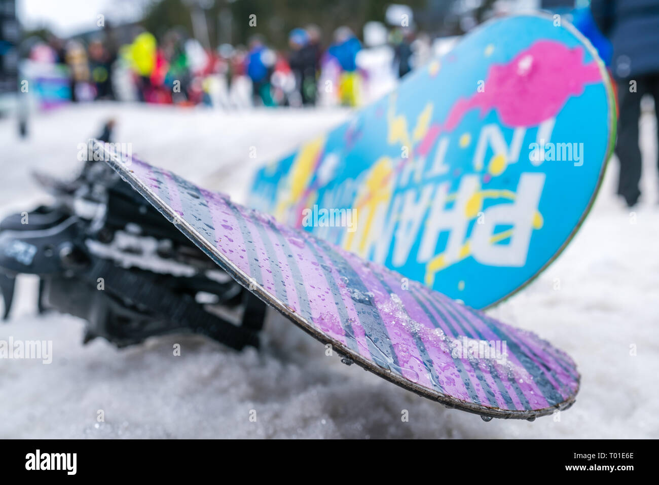 Szklarska Poreba, Polen - Februar 2019: Bunte snowboards im Schnee auf dem Berghang links im Winter Stockfoto