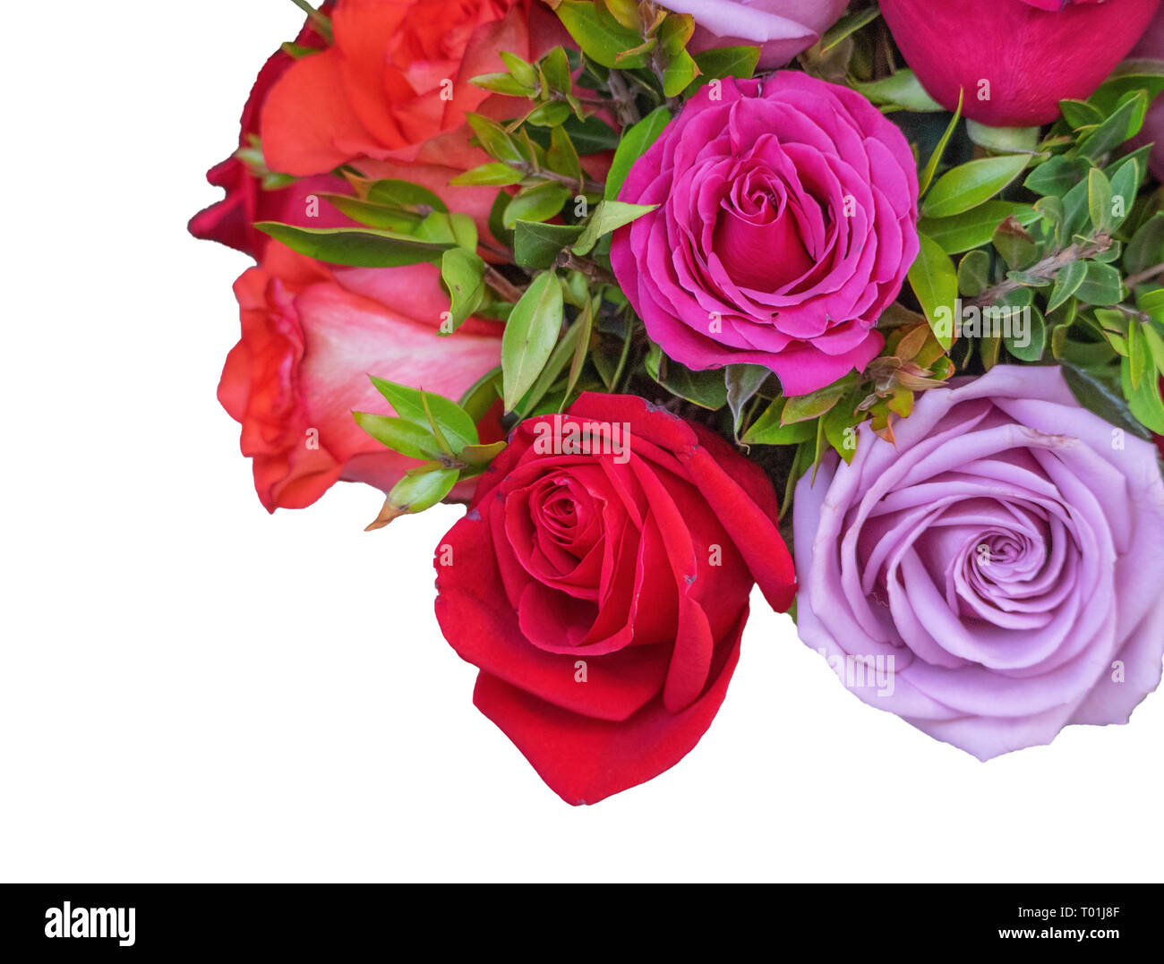 Blumenstrauß aus duftenden Rosen Stockfoto