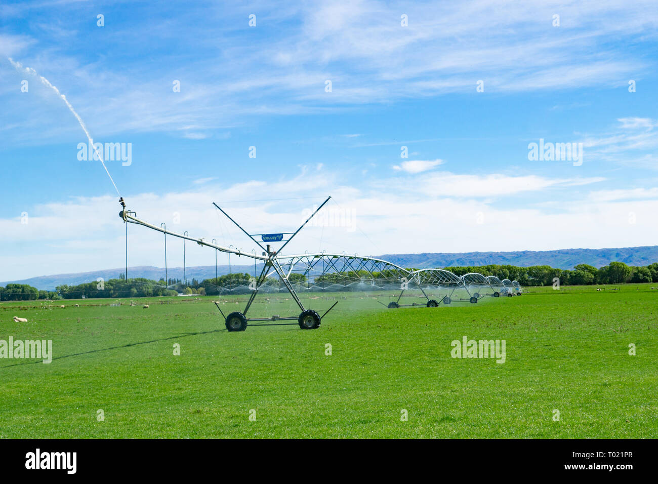 Große Drehmittelpunkt Bewässerungssystem läuft auf einem Bauernhof in Central Otago, Neuseeland, die Verteilung von Wasser für landwirtschaftliche Weide- Stockfoto