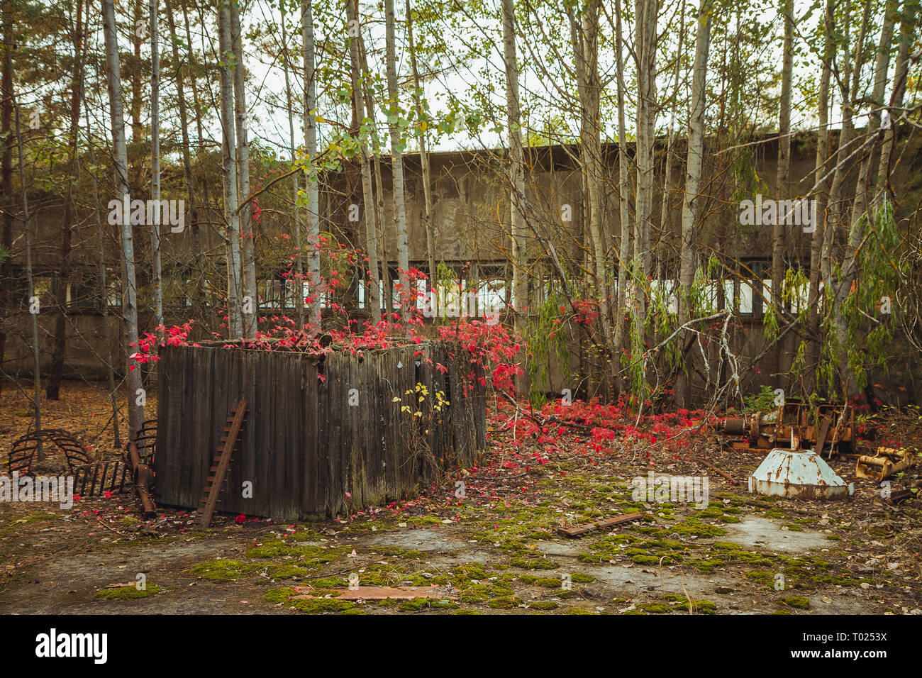 Tschernobyl Sperrzone. Radioaktive Zone in der Stadt Pripyat - verlassene Geisterstadt. Die Geschichte der Katastrophe von Tschernobyl. Verloren in der Ukraine, SSSR Stockfoto