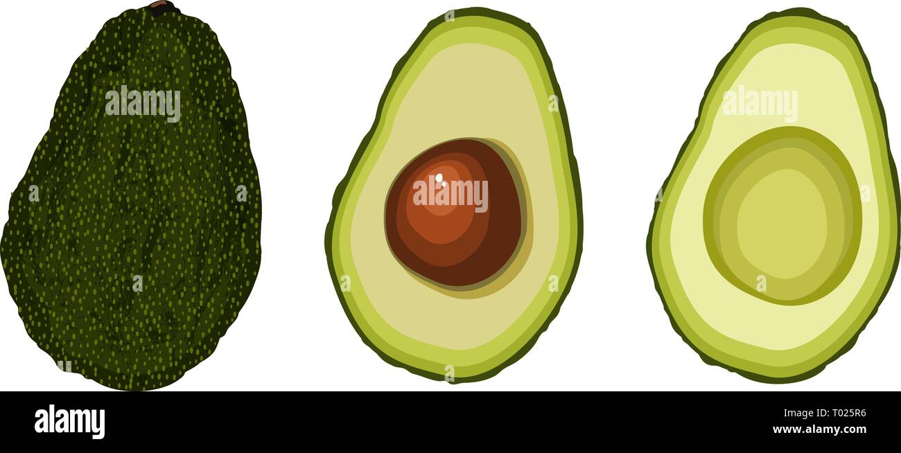 Set avocado Flat Style. Ganze avocado Obst, die Hälfte mit Knochen, Stück, ohne Knochen. Vector Illustration Stock Vektor
